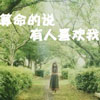 仲弘樺