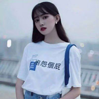 臧文化