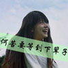 衛(wèi)智敏