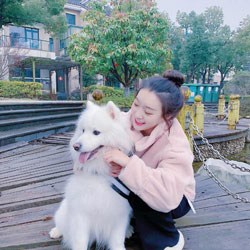 韶雅婕