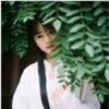 居業(yè)璇