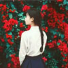 賀佳