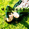 養(yǎng)舜擎