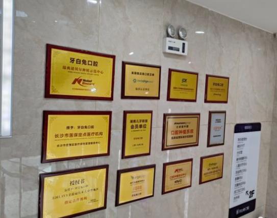 長沙牙白兔口腔門診部（原辰睦口腔）醫(yī)院榮譽
