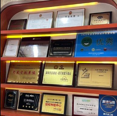 深圳德貝美景龍口腔門診部醫(yī)生榮譽