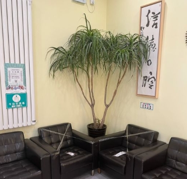 北京信德口腔診所休息區(qū)