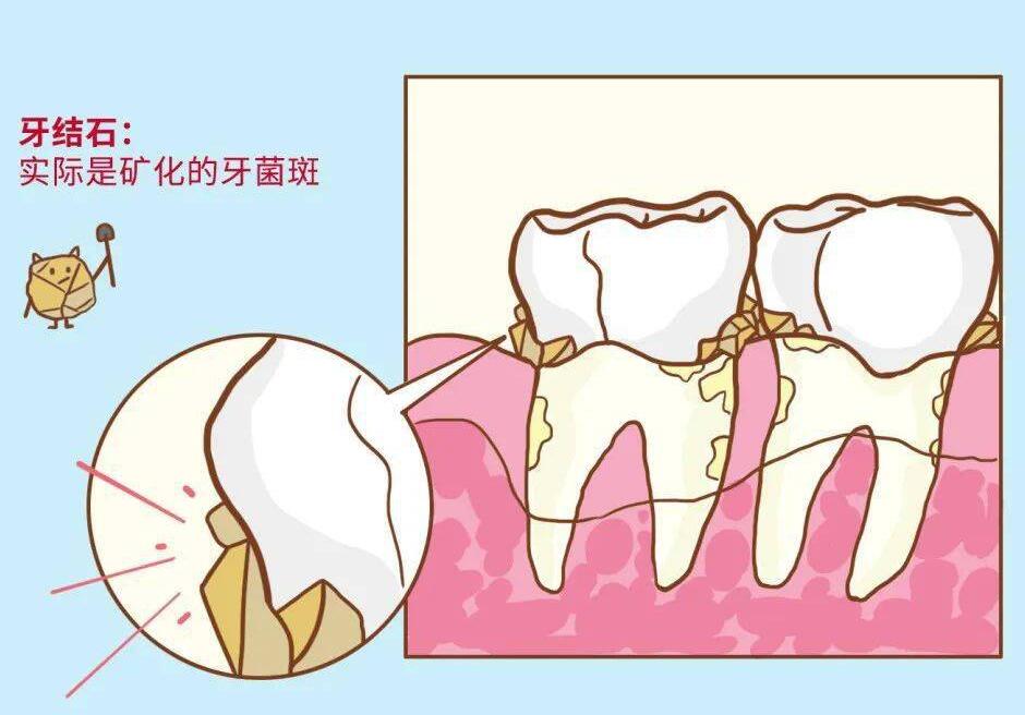 http://www.bstoo.cn/d/file/price/8KCWT8SYFB.jpg