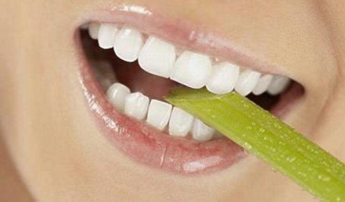 http://www.bstoo.cn/d/file/price/FEG5E16SGI.jpg