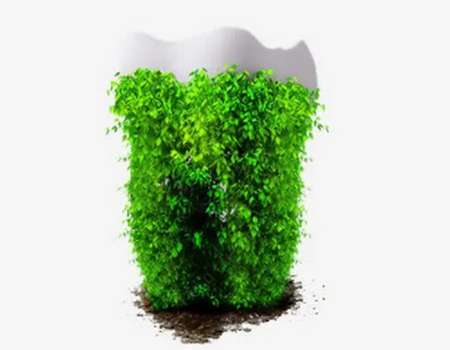 梧州鑲牙價格詳解：從種植牙到全瓷牙一網(wǎng)打盡