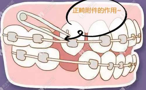 http://www.bstoo.cn/d/file/price/b1iy1mugt2id.jpg