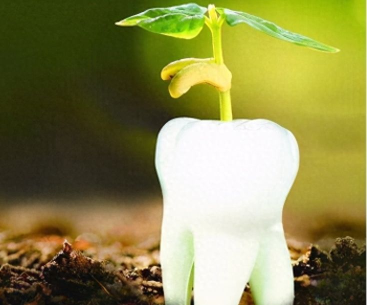 聊城口腔種植牙價格參考【5000元起】