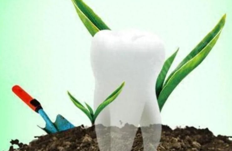 http://www.bstoo.cn/d/file/price/c5g709x1jarx.jpg