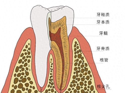 http://www.bstoo.cn/d/file/price/d2lfuiza50y4.jpg
