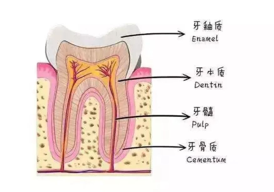 http://www.bstoo.cn/d/file/price/h0eyqj2xo2rs.jpg
