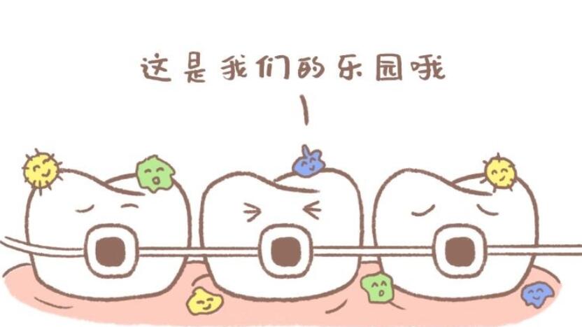 http://www.bstoo.cn/d/file/price/oyaw9sgabz77.jpg