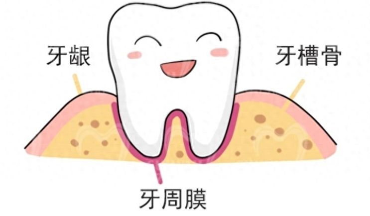 西安口腔醫(yī)院牙齒矯正整形排名及價(jià)格詳解
