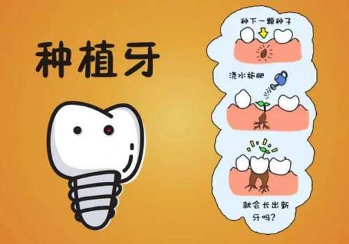 http://www.bstoo.cn/d/file/rank/5to7sfy13x86.jpg