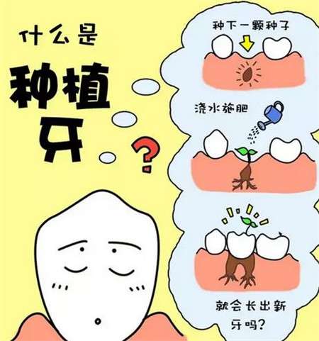 http://www.bstoo.cn/d/file/rank/a9cafad6d0f1.jpg