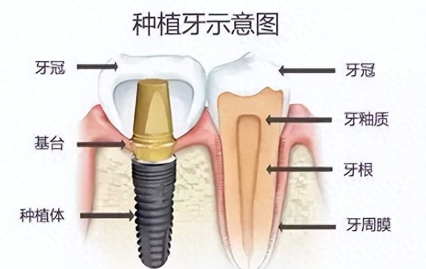 深圳口腔整形醫(yī)生排名及評價